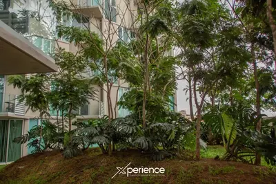 a group of trees in front of a building at Grotto at 28, City Views and Wonderland Vibes! in Hatillo