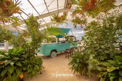 a blue van parked in a greenhouse with plants at Blue Nun at 29, City Views and Wonderland Vibes! in Hatillo