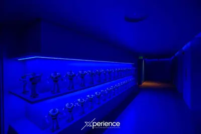 a row of figurines on a shelf in a blue room at Serenitas at 20, City Views and Wonderland Vibes! in Hatillo