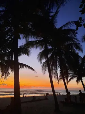 a sunset on the beach with palm trees at Casa Mor - Surfhouse - 2 min from the beach in Santa Teresa Beach