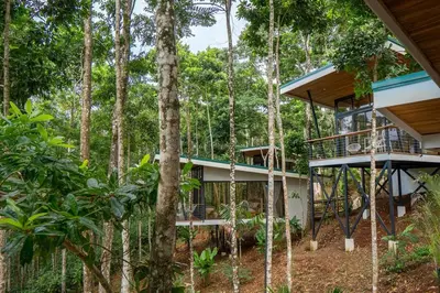 a house in the middle of the forest at Pandanus Lodge & Retreats Bungalow Strelizia in San Ramón