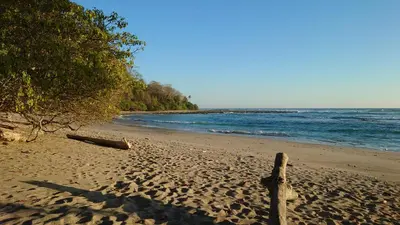 a sandy beach with a wooden post on the beach at Villas Pura Vida - Guapinol in Río Negro