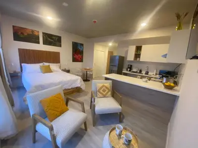 a large bedroom with a bed and a kitchen at La Rana Studio in San José