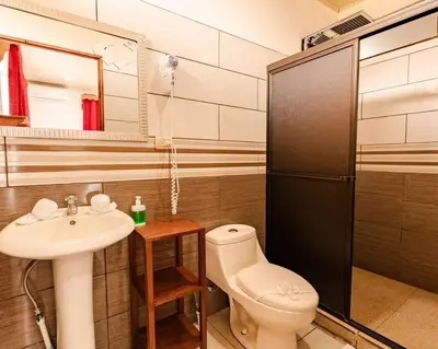 a bathroom with a sink and a toilet and a shower at Gaby's Home In Downtown La Fortuna in Fortuna