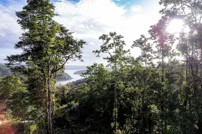 a view of the ocean from a forest with trees at Arenal Summit in Nuevo Arenal