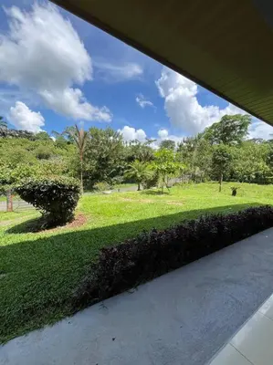 a view of a park with trees and grass at Hospedaje Santiago in Sarapiquí