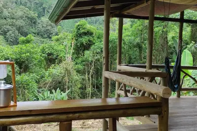 a porch with a bench and a view of the forest at Preciosa Cabaña de Montaña in Turrialba