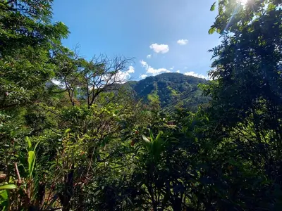 a view of a mountain through the trees at La cabaña de Eugenio in Convento