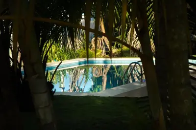 a swimming pool with palm trees in the foreground at Hotel Horizontes de Montezuma in Montezuma