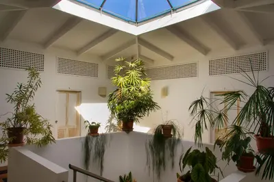 a room with potted plants on the wall at Hotel Horizontes de Montezuma in Montezuma