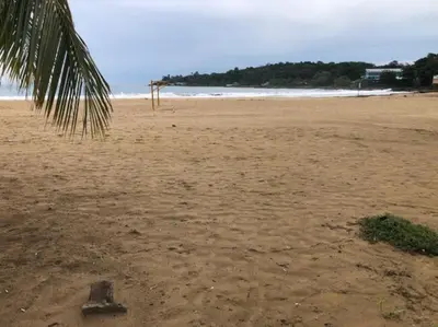 a sandy beach with a palm tree and the ocean at Sea view Apartment in Puerto Limón