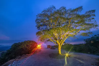 a tree in front of a tent at night at Golden Sunset Glamping in Monteverde Costa Rica