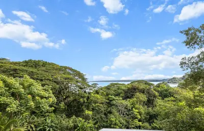 a view of the ocean from the forest at casa amor del sol apartment #1 in Quebrada Ganado