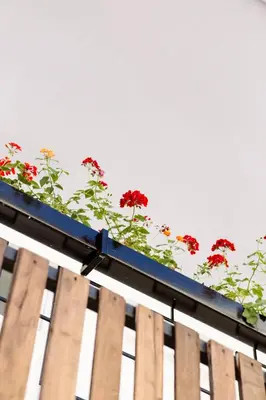 a group of red flowers on top of a building at Hotel VillaFlores in Quesada