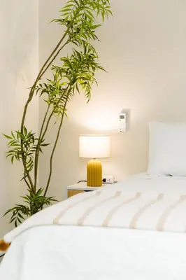 a bedroom with a bed and two plants at Hotel VillaFlores in Quesada