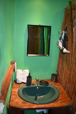 a green bathroom with a sink and a mirror at Villa Girasol in Sarapiquí