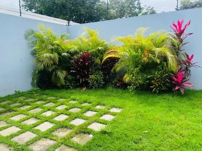 a garden with green grass and plants next to a wall at Casa 1856- cómodas habitaciones en el Centro de Alajuela in Alajuela City