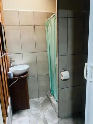 a bathroom with a sink and a shower at Casa 1856- cómodas habitaciones en el Centro de Alajuela in Alajuela City
