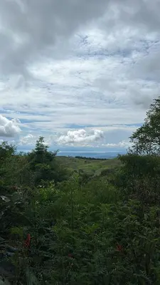 a view of a field of grass and trees at Lumina Valley View Monteverde in Monteverde Costa Rica
