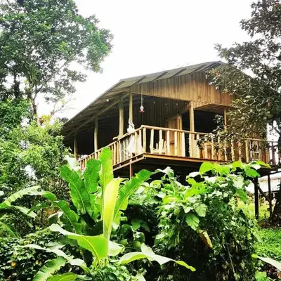 Papaya Lodge