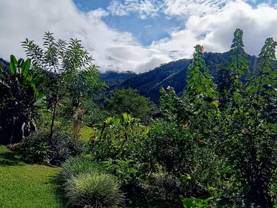 a group of trees and bushes with mountains in the background at Aloha chirripo cabaña familiar in Convento