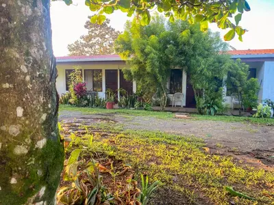 a house with a tree in front of it at Hospedaje Shaddai in Palo