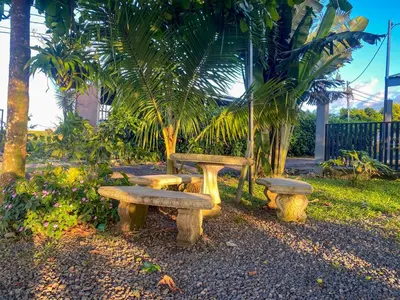 two benches sitting in a park with palm trees at Hospedaje Shaddai in Palo