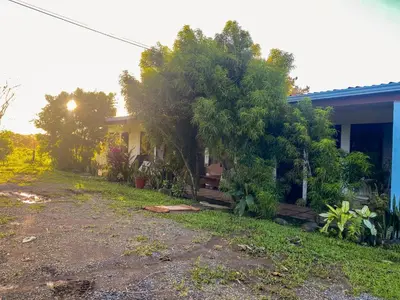 a house with trees and plants in front of it at Hospedaje Shaddai in Palo