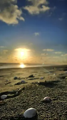 a sunset on a beach with shells on the sand at Nuevo Leones, #50 in Parrita
