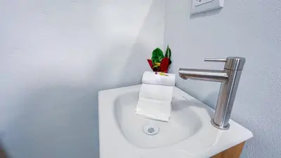 a bathroom sink with a plant on top of it at Forest apartments studio F2, walking to the beach in Jacó