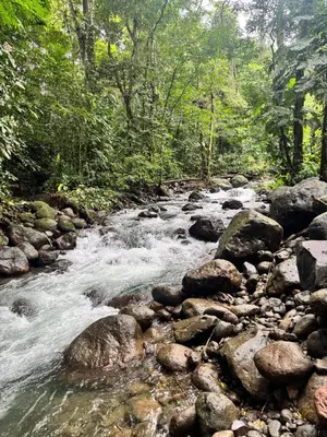 a stream of water with rocks and trees at Arenal by the river in San Francisco