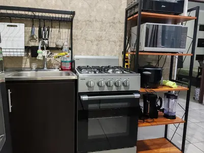 a kitchen with a stove and a sink at Schultz Apartamento in Alajuela City