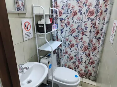 a bathroom with a toilet and a sink and a shower curtain at Schultz Apartamento in Alajuela City
