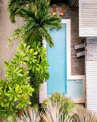an overhead view of a swimming pool with plants at Casa Bismarkia in Santa Teresa Beach