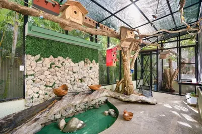 a bird house and a tree in a greenhouse at Blue Ridge Retreat in Potrero