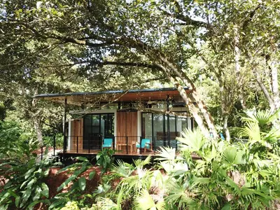 a house in the middle of a forest at Casita Jungle Nest non active in Matapalo