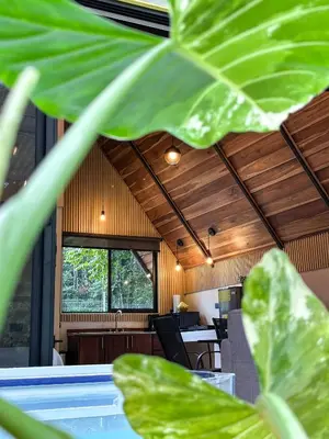 an office with a large green plant in the foreground at River Paradise Cabin with Private Jacuzzi in Fortuna