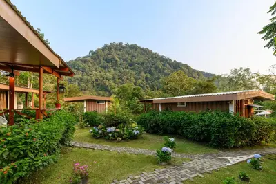 a garden in front of a house with a mountain at Blue Morpho Lodge in Bajos del Toro
