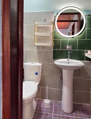 a bathroom with a toilet and a sink and a mirror at Hotel Carmen Costa Coral in Tambor