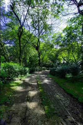 a brick road in a park with trees at Cabinas La Fulanita in Nicoya