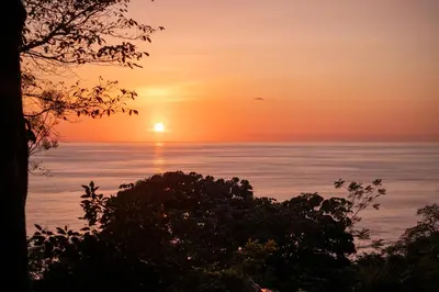 a sunset over the ocean with a tree at Casa Oh - Oceanview Guesthouse in Uvita