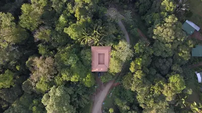 an overhead view of a road in a forest at Casa Oh - Oceanview Guesthouse in Uvita