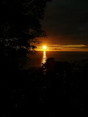 a sunset over the water with a tree in the foreground at Casa Oh - Oceanview Guesthouse in Uvita