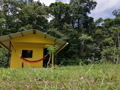 a yellow dog house in the middle of a field at Paz y Flora Cabins - 4x4 or 4x2 Car Only in Drake