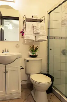 a bathroom with a toilet and a sink and a shower at Brisas del Aeropuerto Airport Breezes inn in Heredia