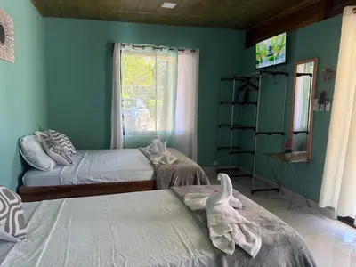 two beds in a room with green walls at cabina DiTi 2 in Santa Cruz