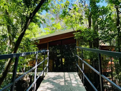 a walkway leading to a house with glass doors at Cabañas La Montaña in Monteverde Costa Rica