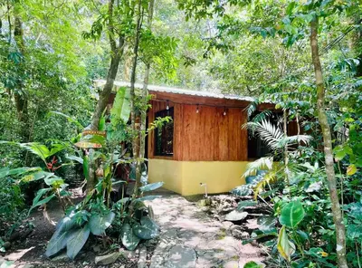 a small house in the middle of a forest at Cabañas La Montaña in Monteverde Costa Rica