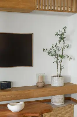 a living room with a tv and a plant on a shelf at Villa Koa - Your Tropical Retreat in Santa Teresa Beach