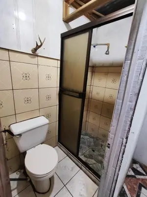 a bathroom with a toilet and a shower at Casa de campo Aguinaldo in Fortuna